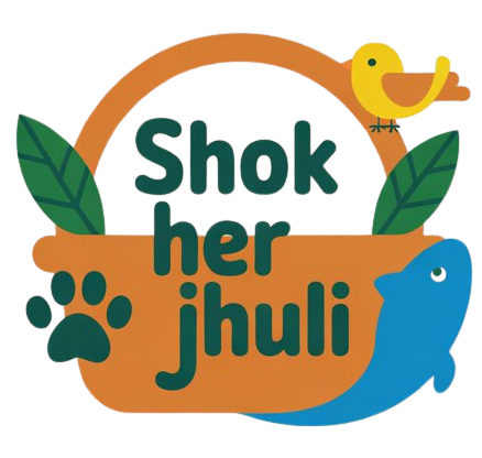 Shokher Jhuli